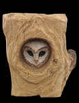 scheiereule barn owl eule holz motorsge kettensge schnitzen kettesgenkunst motorsgenkunst holzwerker