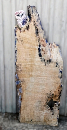 schleiereule barn owl motors�ge kettens�ge schnitzen jochen adam holzwerker